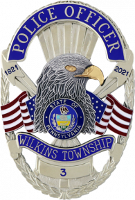 Pierced Badge with Applied Reverse Enamel Panels