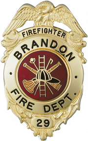 Eagle Topped Badge Style B-319