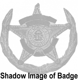 Georgia Sheriff's Association Five Point Star With Wreath