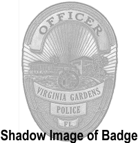 Oval Badge with Rays in the Background