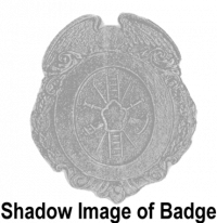 Oval Fire Badge with Eagle