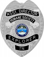 Eagle Topped Badge w/ reversed panels M-201R