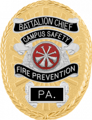 Oval badge w/reversed enamel panels M261R