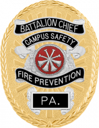 Oval badge w/reversed enamel panels M261R