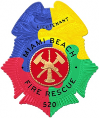 Awareness Badge, Your Choice of Design