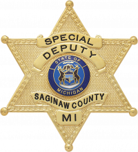 Six Point Star Ball Tipped Badge S241