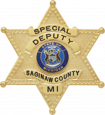 Six Point Star Ball Tipped Badge S241