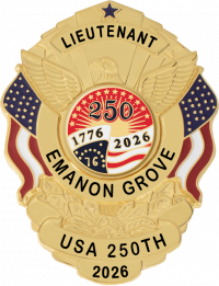 Eagle Topped Flag Draped Badge S-503_C1039