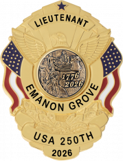 Eagle Topped Flag Draped Badge S-503_C1040