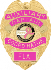 Eagle Topped w/reversed panels S555R