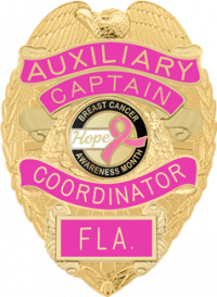 Eagle Topped w/reversed panels S555R