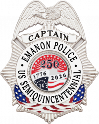 Eagle Topped Flag Draped Badge S-634_C1039