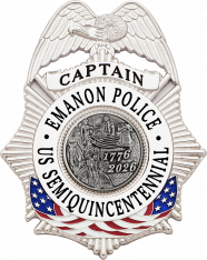 Eagle Topped Flag Draped Badge S-634_C1040