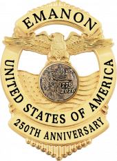 Eagle Topped Flag Draped Badge S-671P_C1040