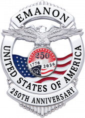 Eagle Topped Flag Draped Badge S-671_C1039