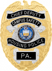 Eagle Topped Badge S701R