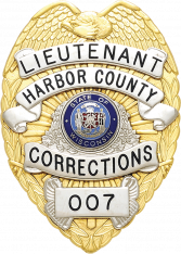 Eagle Topped Badge S-91-H