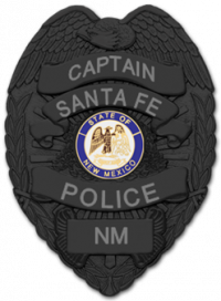 Eagle Topped Badge S-91MBK