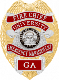 Eagle Topped Badge SB1901AR