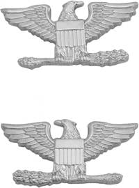 1/2" Colonel Eagles Collar Brass Insignia W14