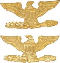 3/4" H Colonel Eagles Collar Brass Rank Insignia W19