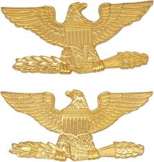 3/4" H Colonel Eagles Collar Brass Rank Insignia W19