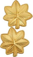 1-1/8" Oak Leaf Embossed (textured) Insignia W30