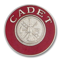 Cadet collar insignia 9542