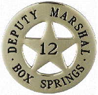 Round Star Badge