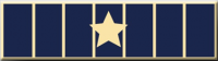 Seven Section Commendation Bar With One Raised Star