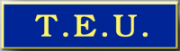 T.E.U. One Section Commendation Bar