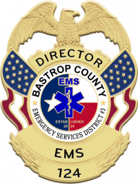 Badge with Eagle and Flags