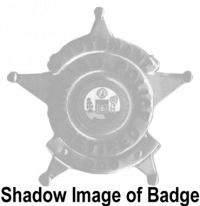 Chicago Retired Police Officer Retired Five Point Star with Ball Points