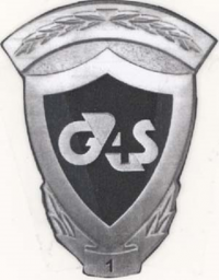 Wackenhut Badge with Leaf Design