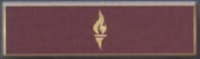TORCH, 1 Section Commendation Bar