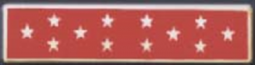 12 STARS, 1 Section Commendation Bar