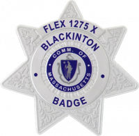 FlexBadge 7 Point Decorative Star Upside Down Version