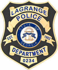 FlexBadge Shield with Enamel Background