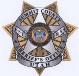 Flex 7 Point Star Badge