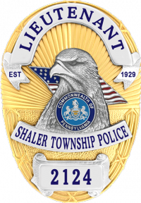 Flexbadge with eagle and full color flag in die