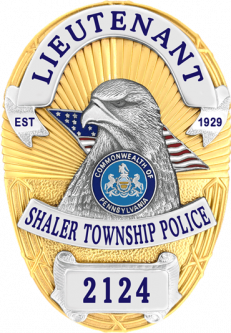 Flexbadge with eagle and full color flag in die