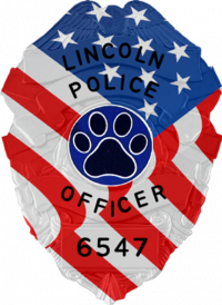 Awareness Badge, Your Choice of Design