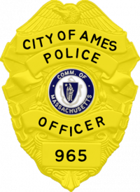 Awareness Badge, Your Choice of Design