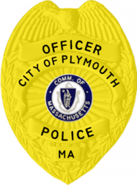 Awareness Badge, Your Choice of Design