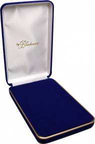 Large Blue Velour Case