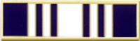 Eleven Sections Departmental Training Officer Commendation Bar