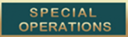 Special Operations Commendation Bar