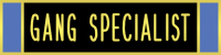 Gang Specialist three section commendation bar