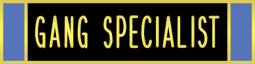 Gang Specialist three section commendation bar