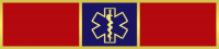 Paramedic, EMT Recognition Bar